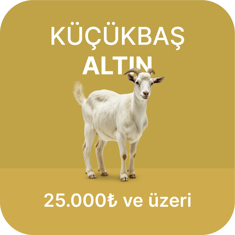 Kurban Fiyatları 2024
