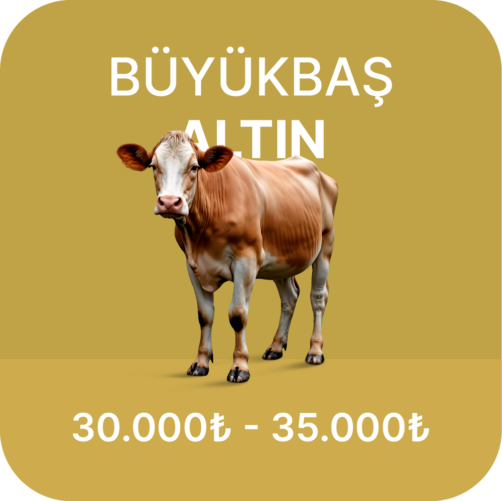 Kurban Fiyatları