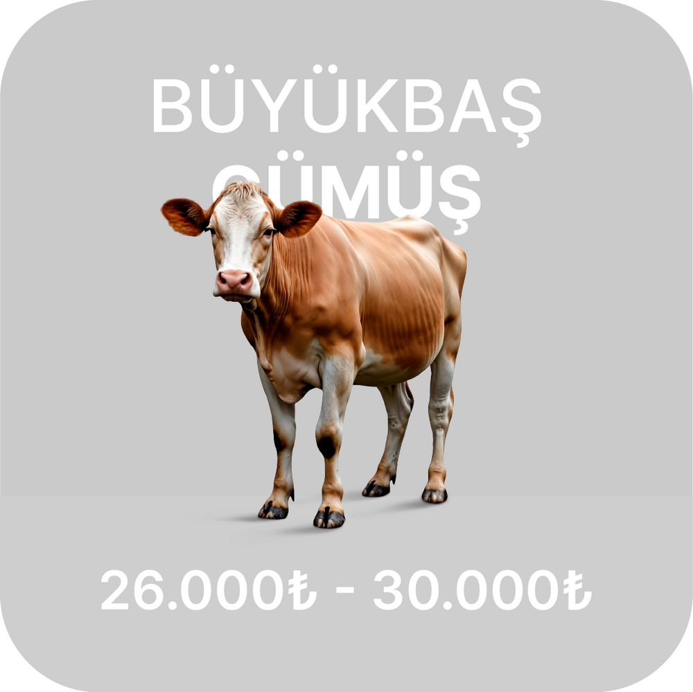 Kurban Fiyatları 2024